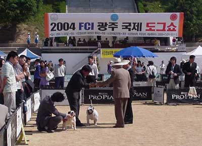 국제_도그쇼1.jpg